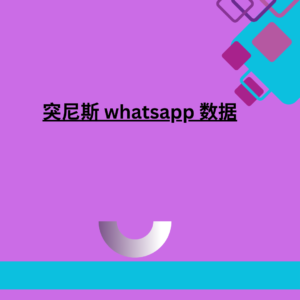 突尼斯 whatsapp 数据