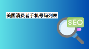 美国消费者手机号码列表